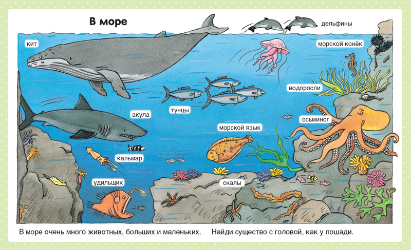 Энциклопедия для малышей Бомон Э. «Природа» в пухлой обложке  